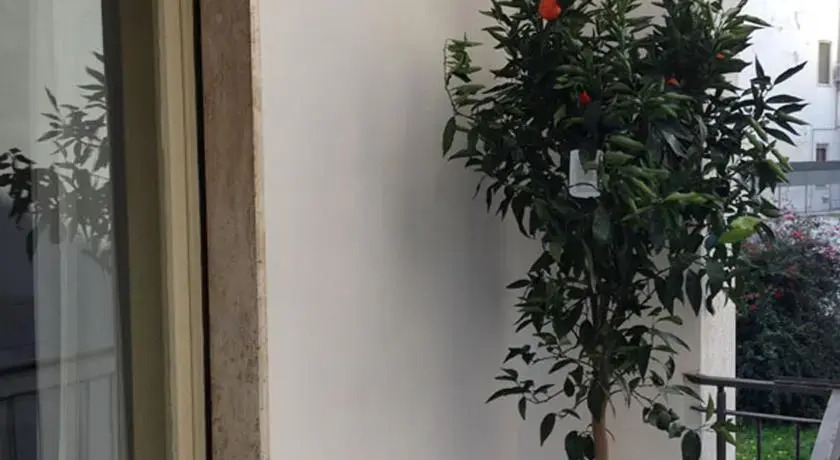 Le Zie