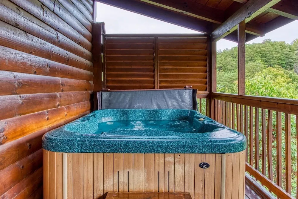 ERN807 - Black Bearry Ridge - Great Location! Close To All The Action! cabin