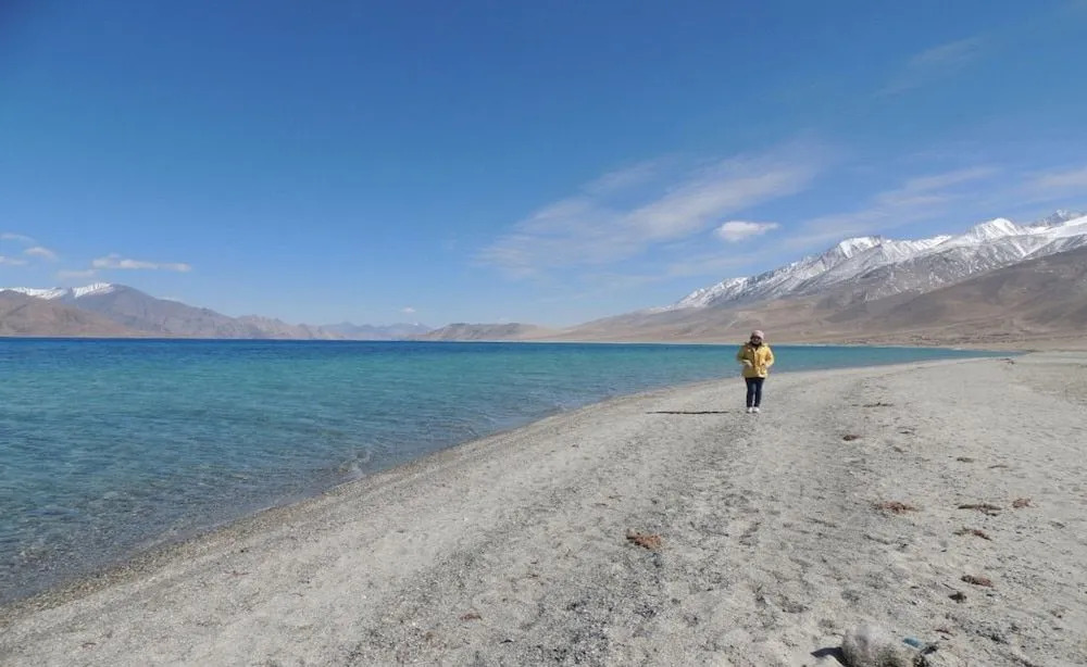 Pangong Paradise