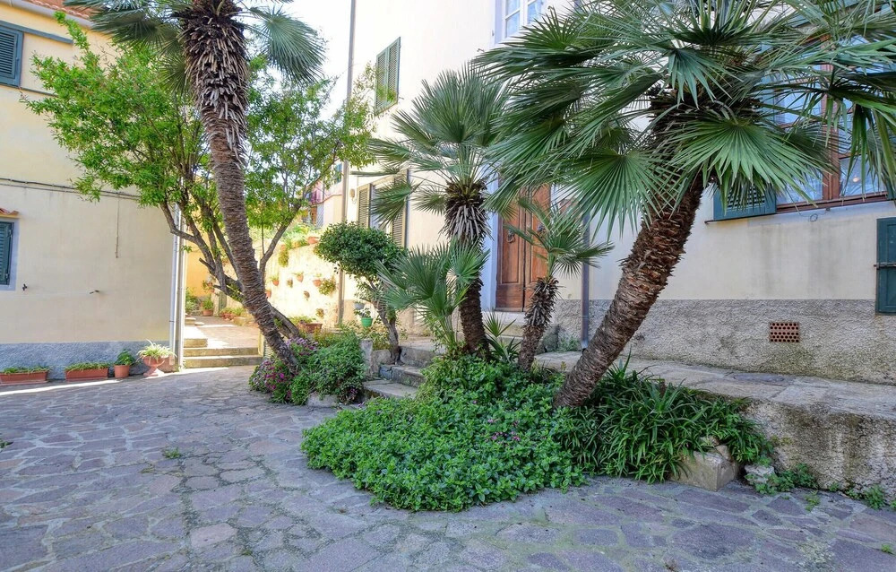 Stunning Apartment in Marciana Marina With 1 Bedrooms