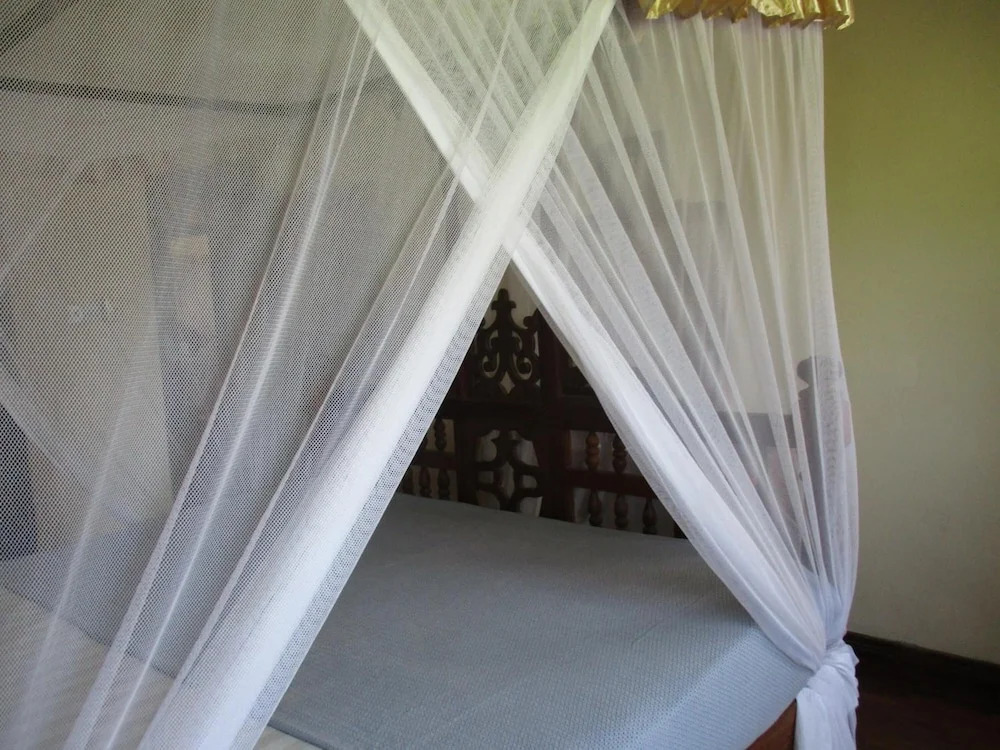 Abuso Inn