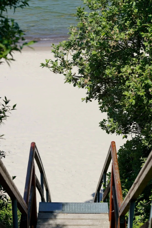 Reetland am Meer