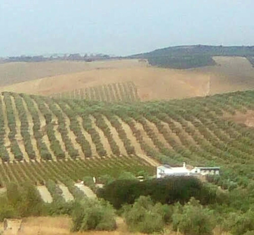 House With 4 Bedrooms in Montilla córdoba, With Wonderful Mountain View, Shared Pool, Enclosed Garden Near the Beach