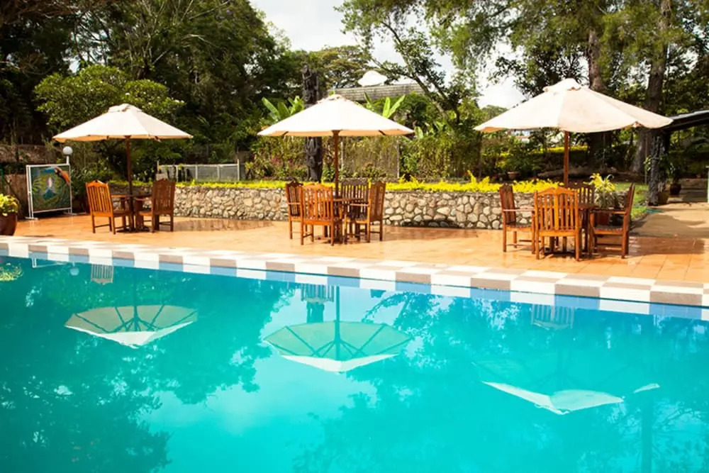 Bird Of Paradise Hotel