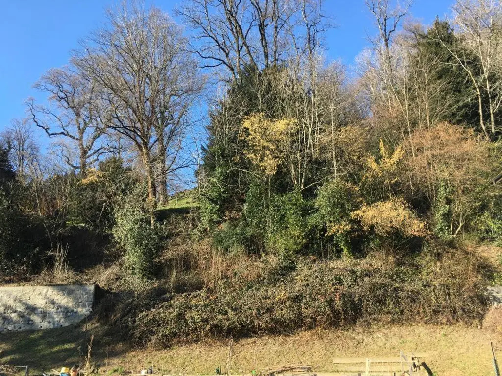 Parking voiture & Appartement 2pcs Lausanne centre