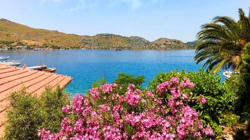 Tasdelen Selimiye