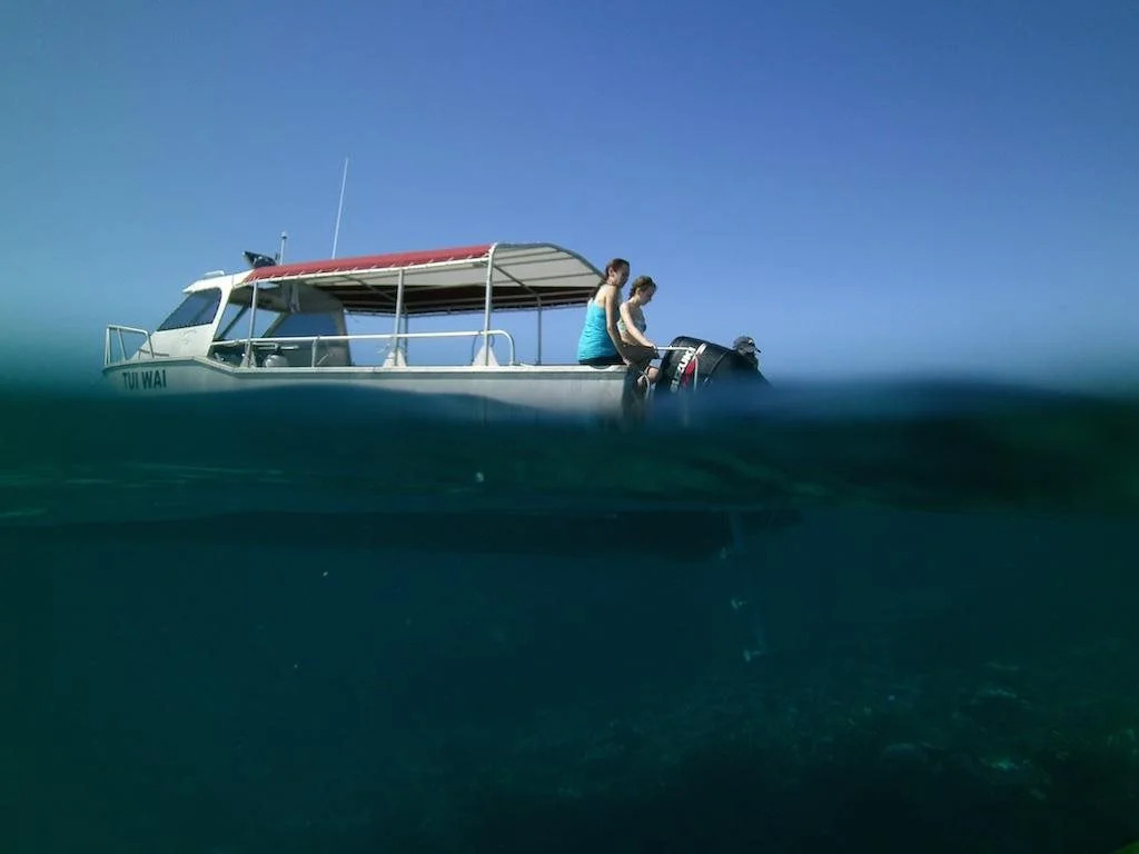 Taveuni Dive Resort