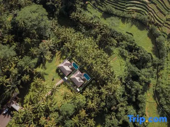 The Lanaya Villa