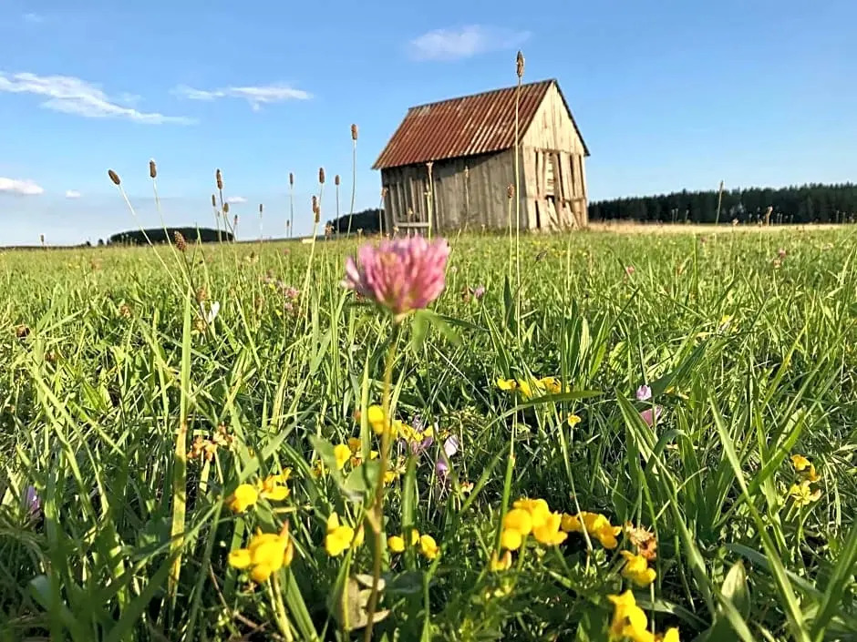 Gästehaus Rössle großzügiges Wohnen in über 90 m2