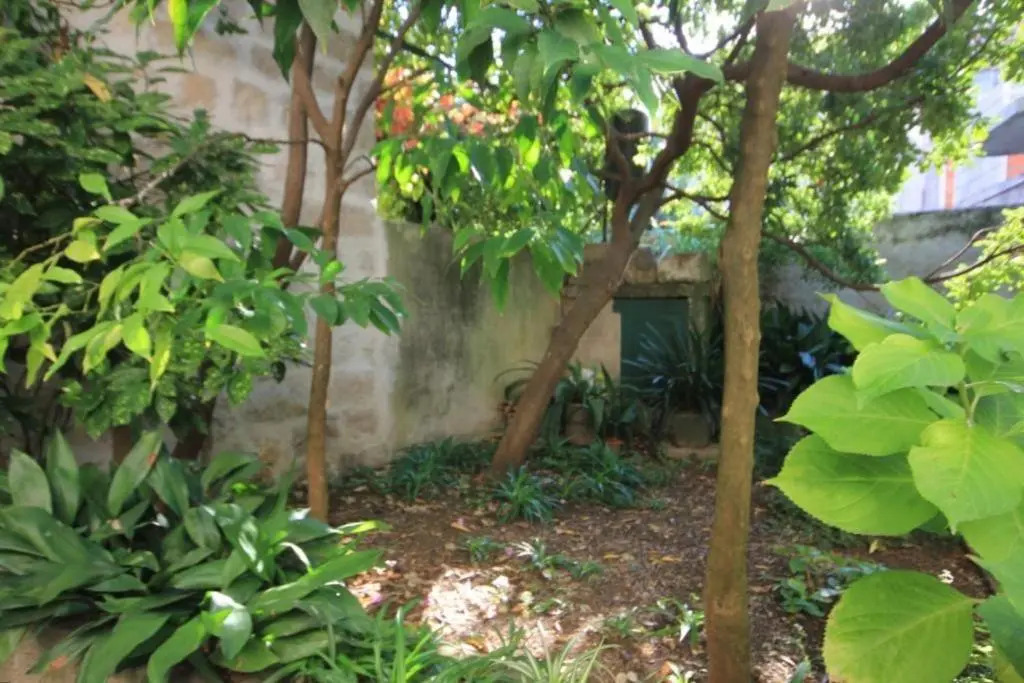 House Korta
