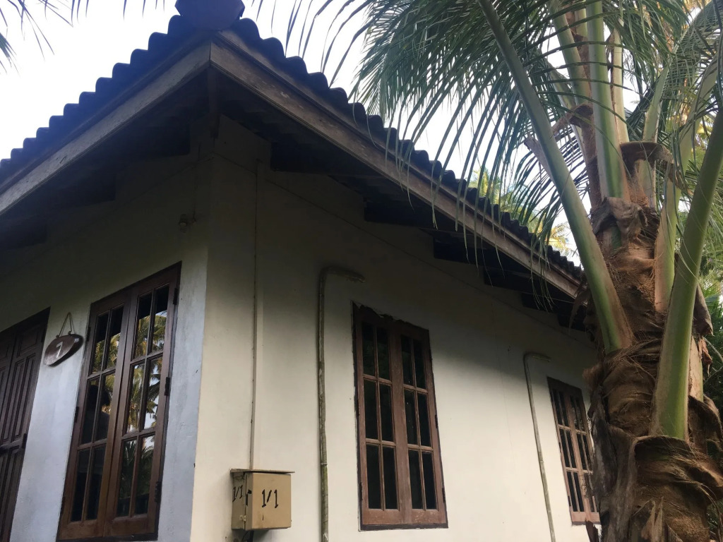 Koh kood Neverland beach resort