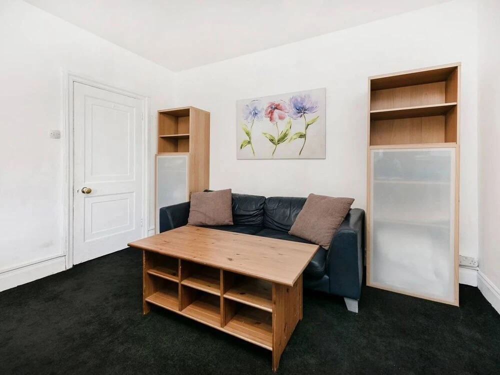 Spacious Apartment Near Hyde Park