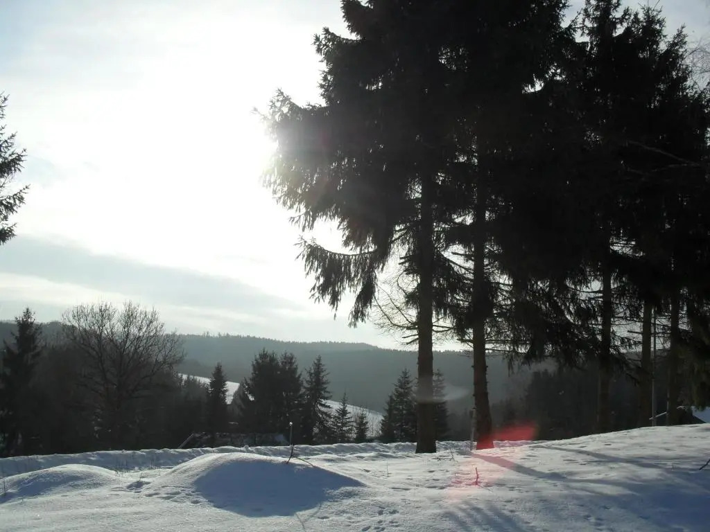 Eifelcottage