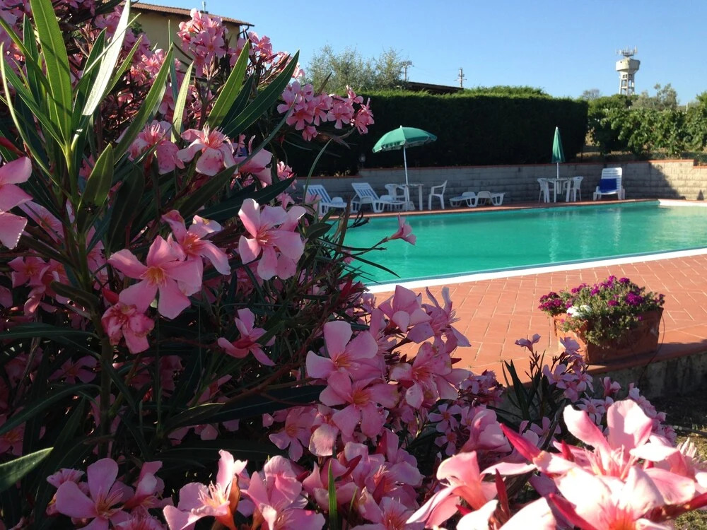Agriturismo Le Ginestruzze