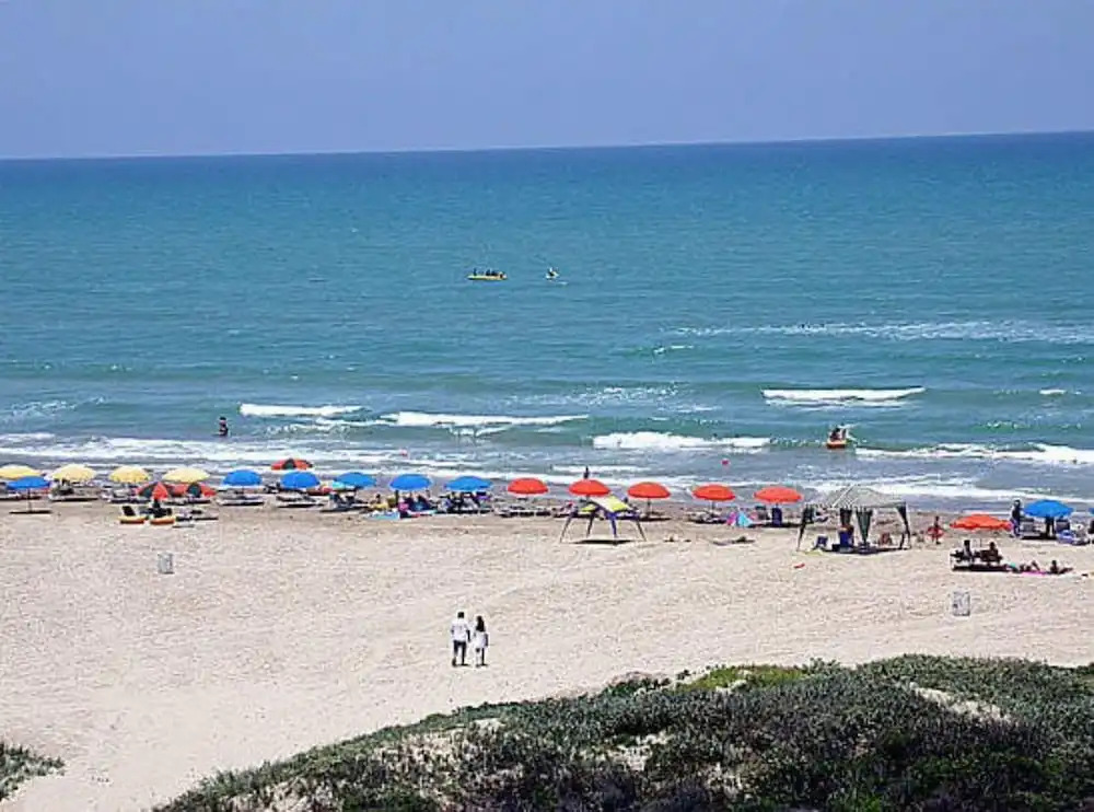 Saida II 602 by Padre Island Rentals