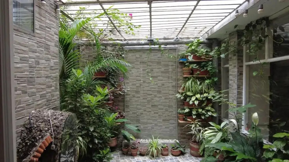 Nora's Laureles
