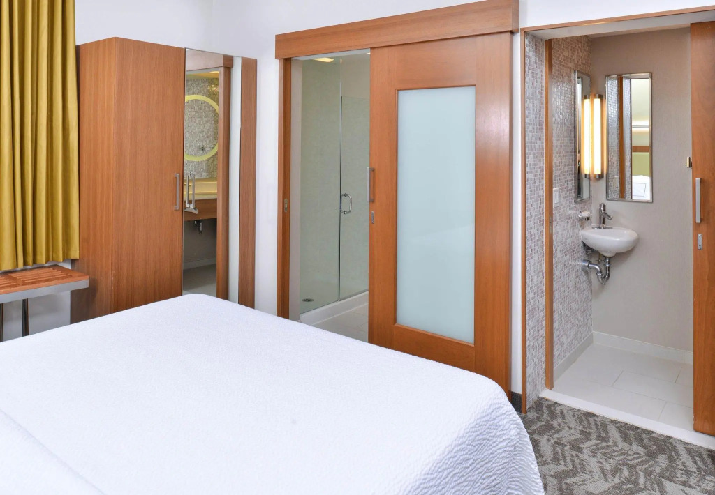 Springhill Suites by Marriott Detroit Metro Airport Romulus