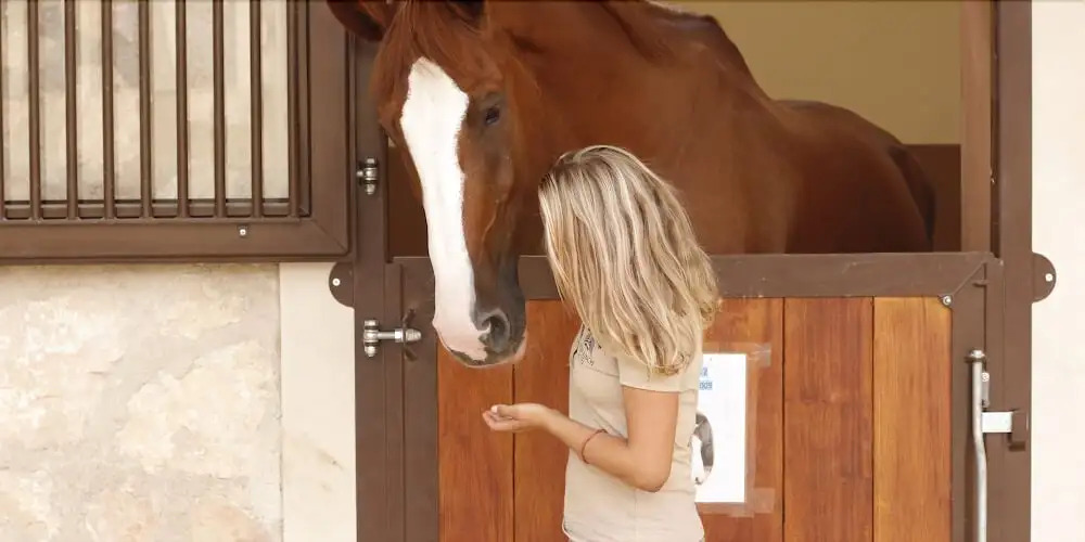 VMG Horse Ranch