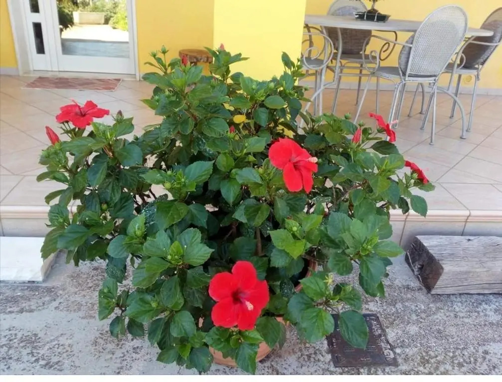 Casa Panoramica Greco