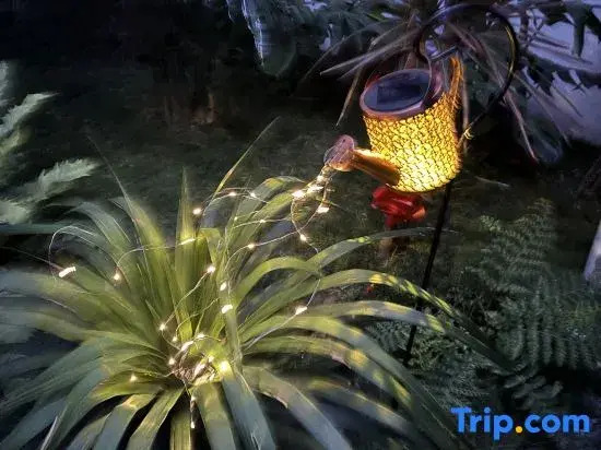 Youran▪Garden light luxury log designer parent-child holiday accommodation (Dali Xizhou store)