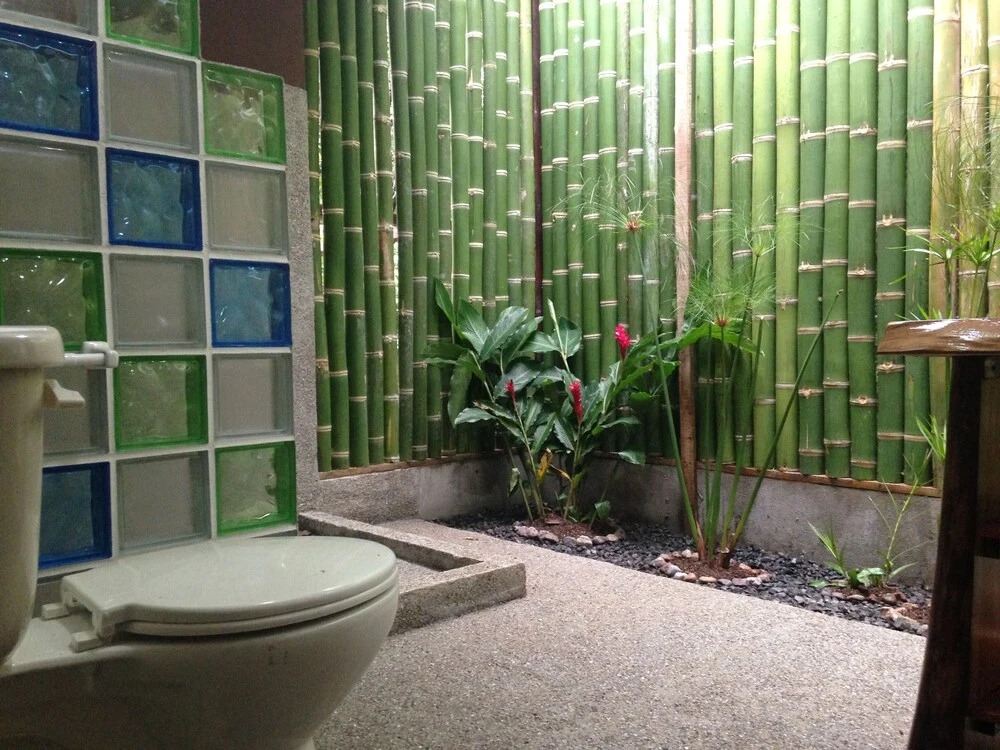 Jungle Lodge at Wild Sun Rescue Center