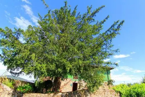 Cuadroveña