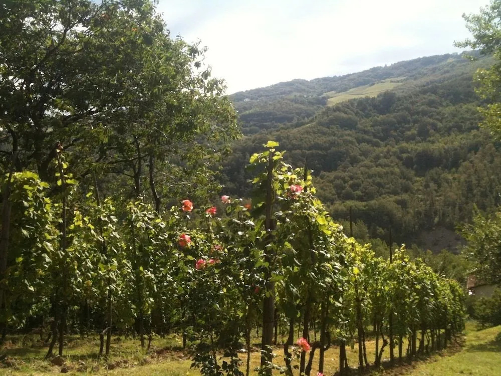 B&B Bosco Dei Cervi