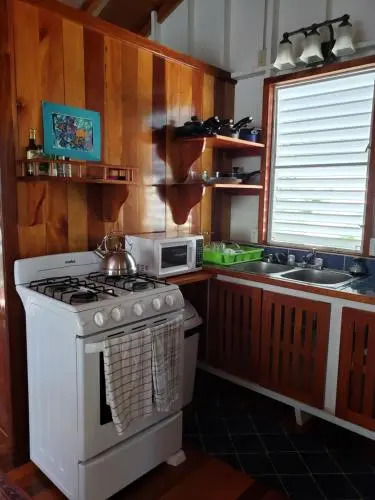 Carolyns Other House
