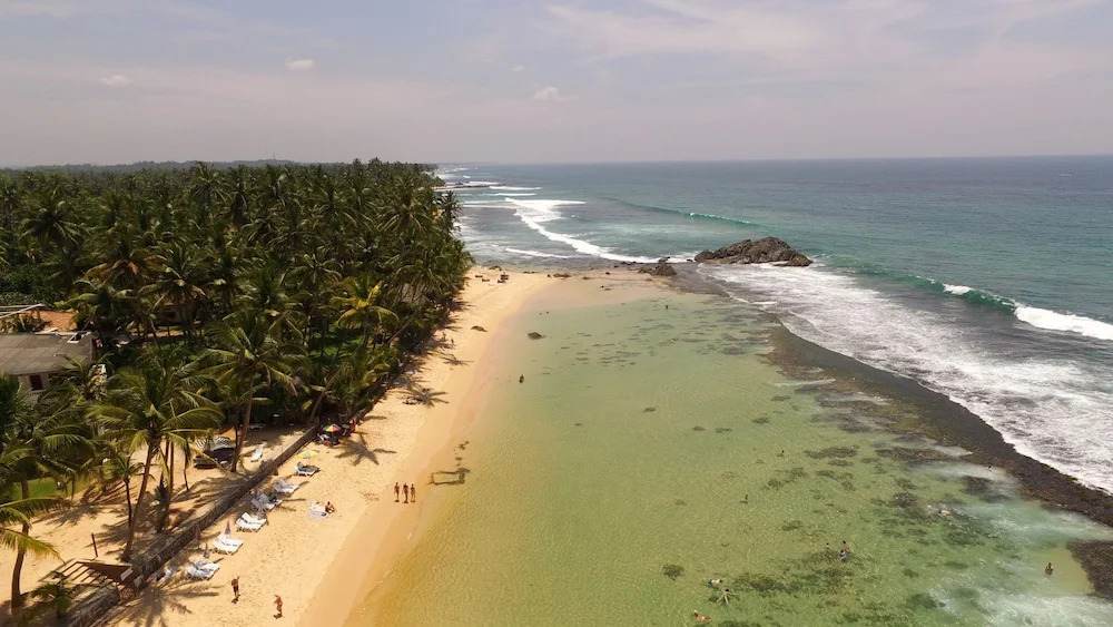 King Coconut Lodge