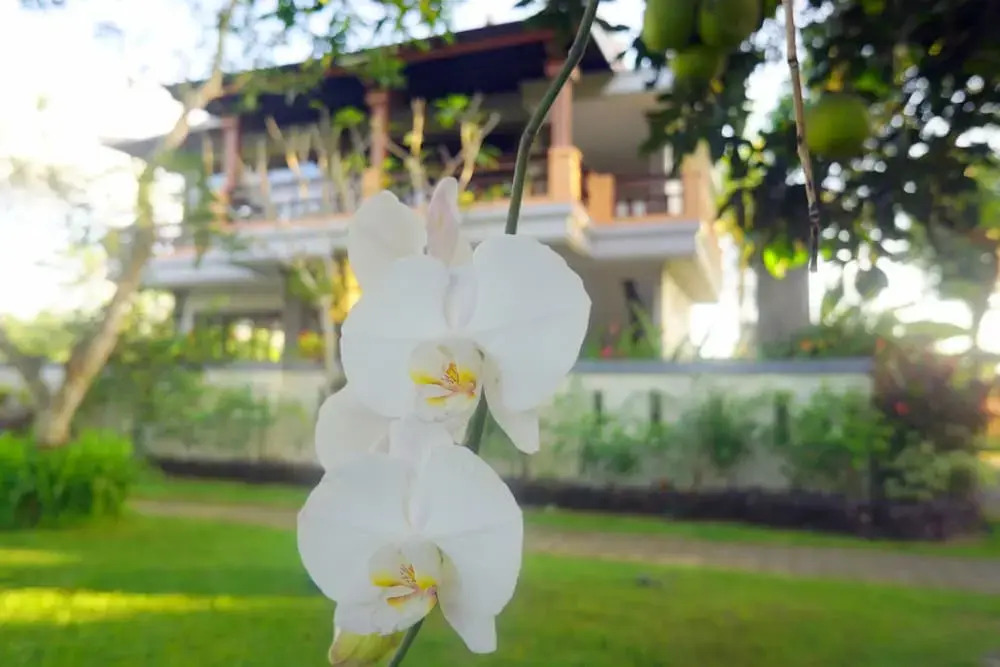 Villa Annapurna Bali