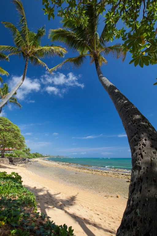 2 Bedroom Kauai Vacation Rental