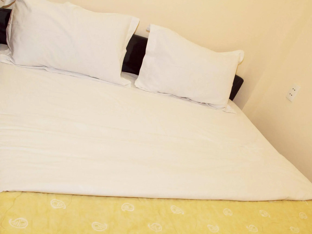 OYO 422 Nguyen Thanh Hotel
