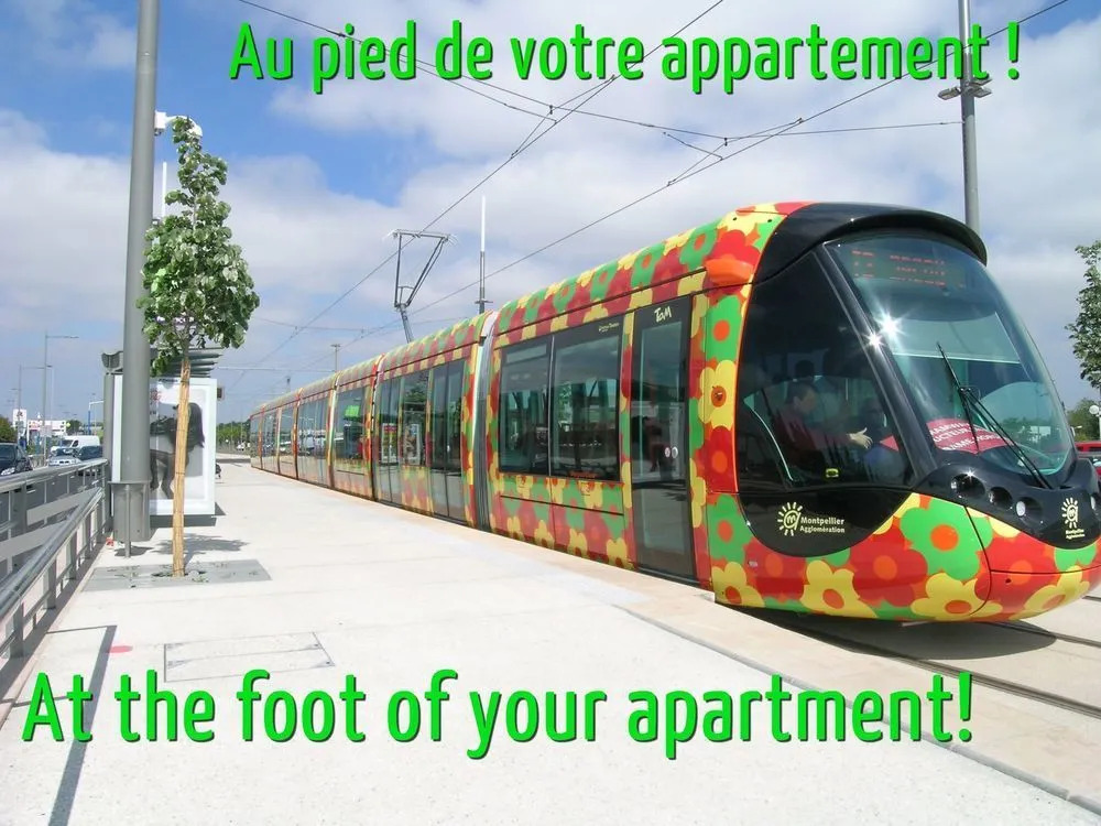 Suites Gaya
