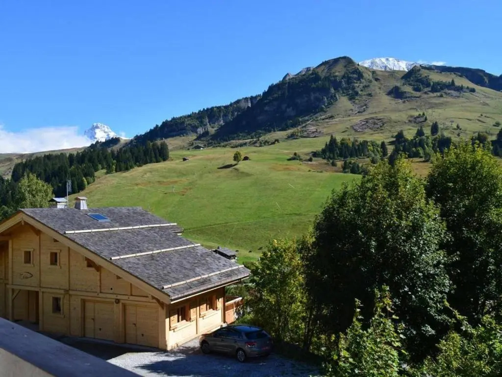 Appartement Le Grand-Bornand, 2 pièces, 6 personnes - FR-1-241-205