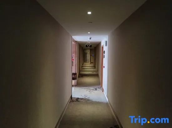 Yixin Hotel (Shanghai Lujiazui New International Expo Center)