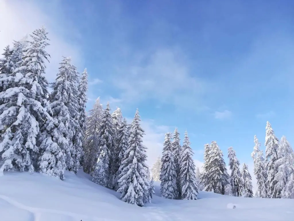 Apartment Alpenpanorama