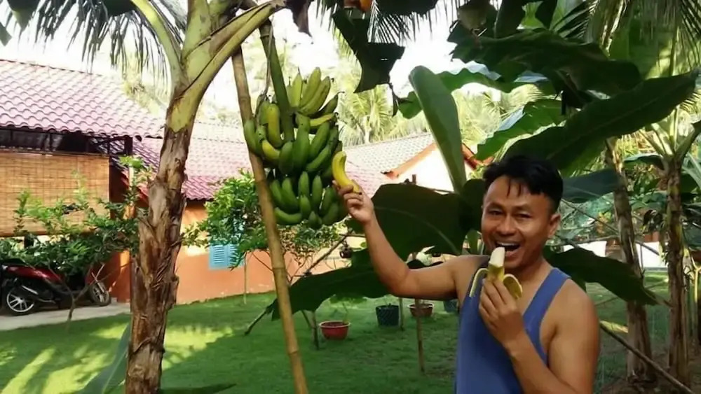 Coconut Homestay Mỏ Cày Nam Bến Tre