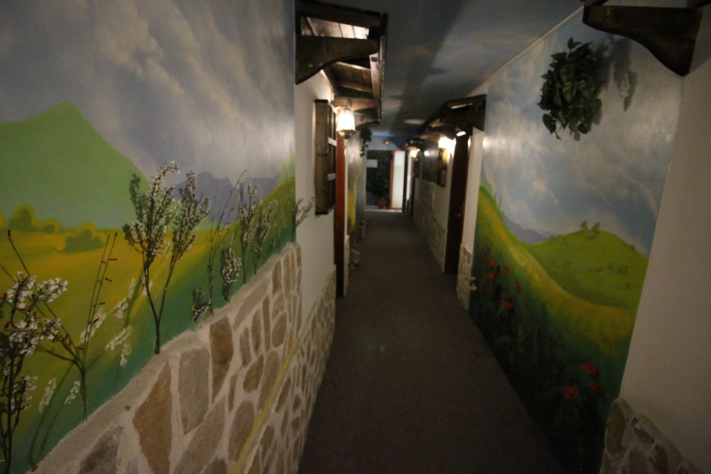 Hotel Simona Complex