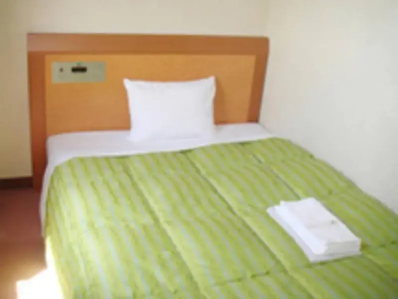 Smile Hotel Kakegawa