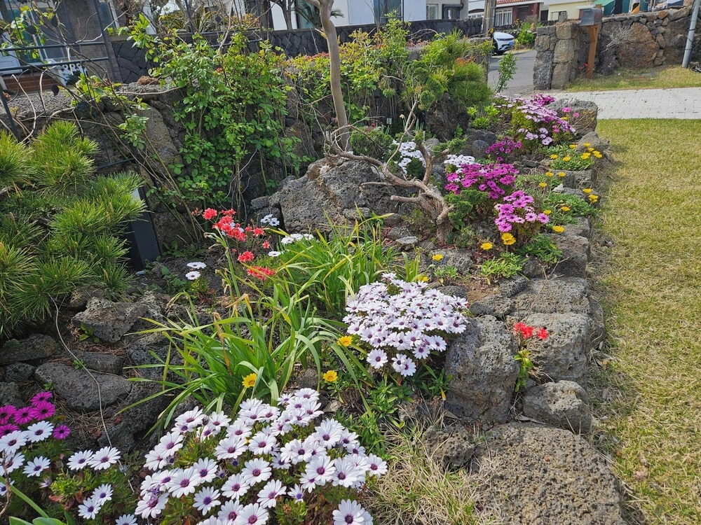 Jeju iruhuje stay