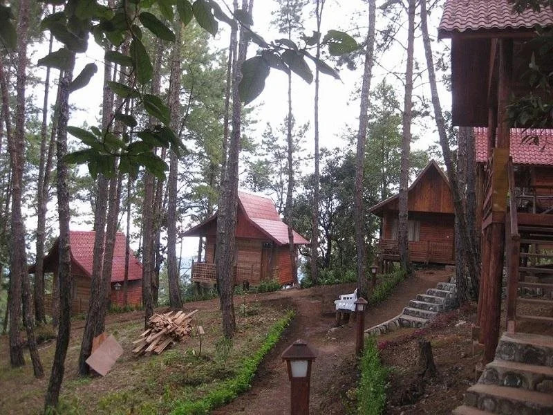 Pine Wood Villa