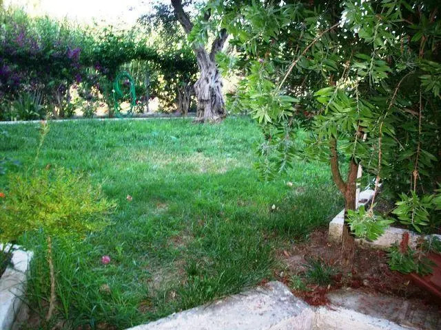 Theodora Studios