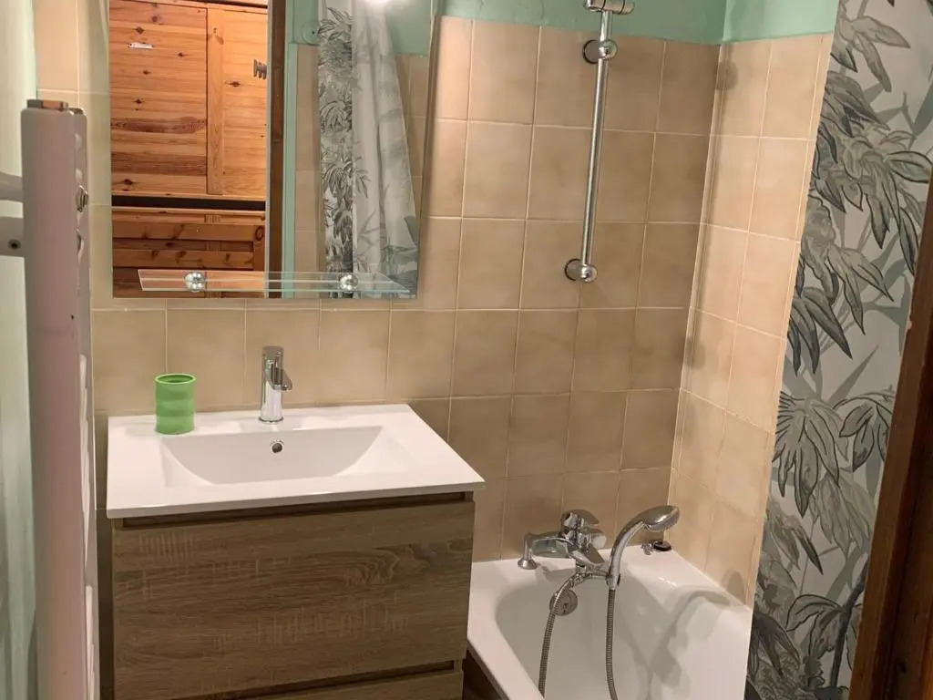 Appartement Les Saisies, 1 pièce, 4 personnes - FR-1-293-165