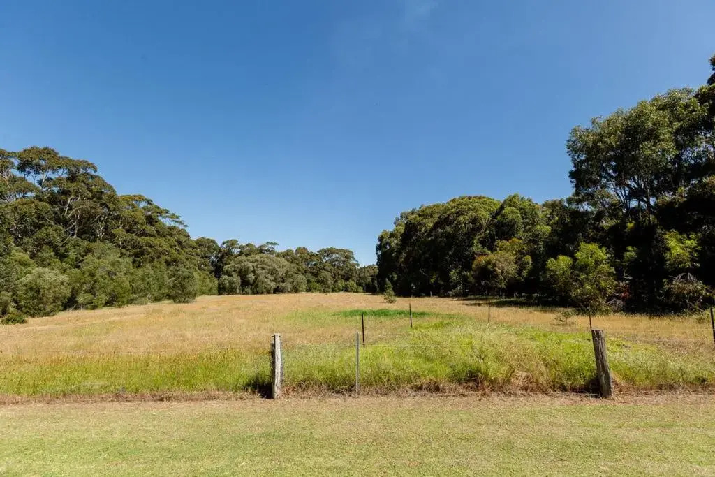 Turner Brook