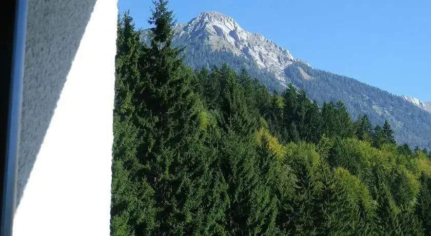 Alpen Appartement
