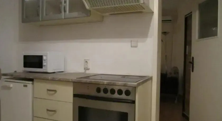 Fennec Fox Apparment
