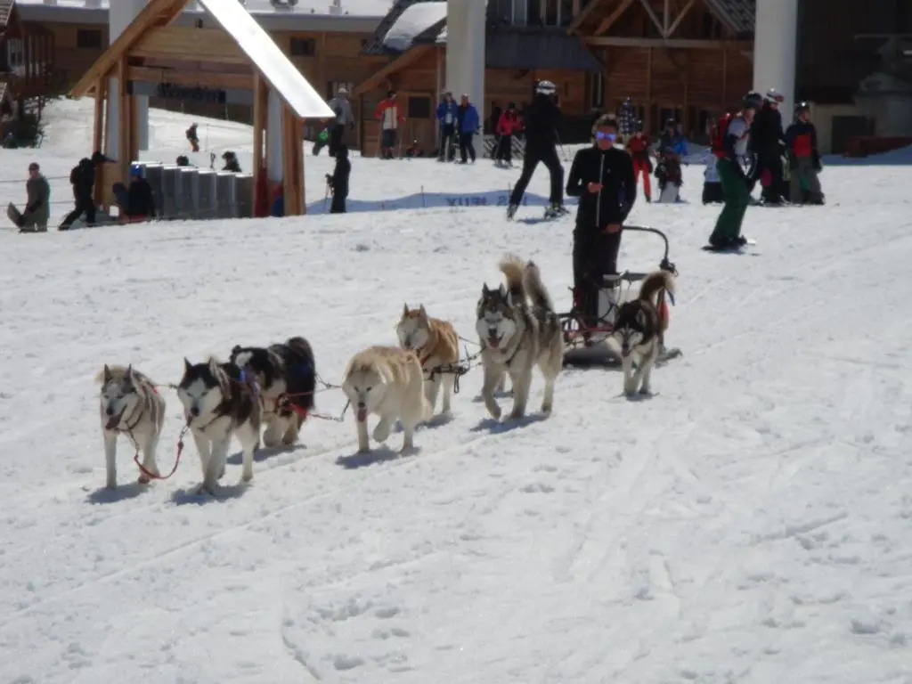 Chalet Clementine
