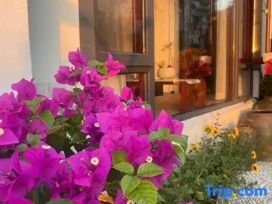 Tiantai Chenmu Homestay (Tiantai Mountain Scenic Area)