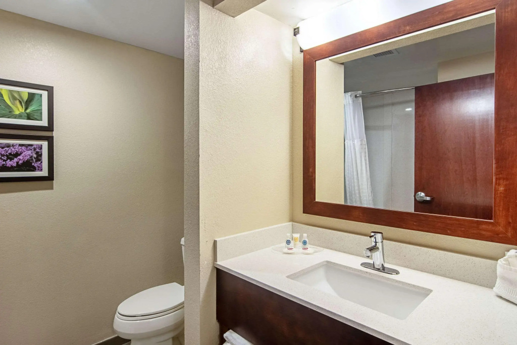 Comfort Suites Knoxville Airport