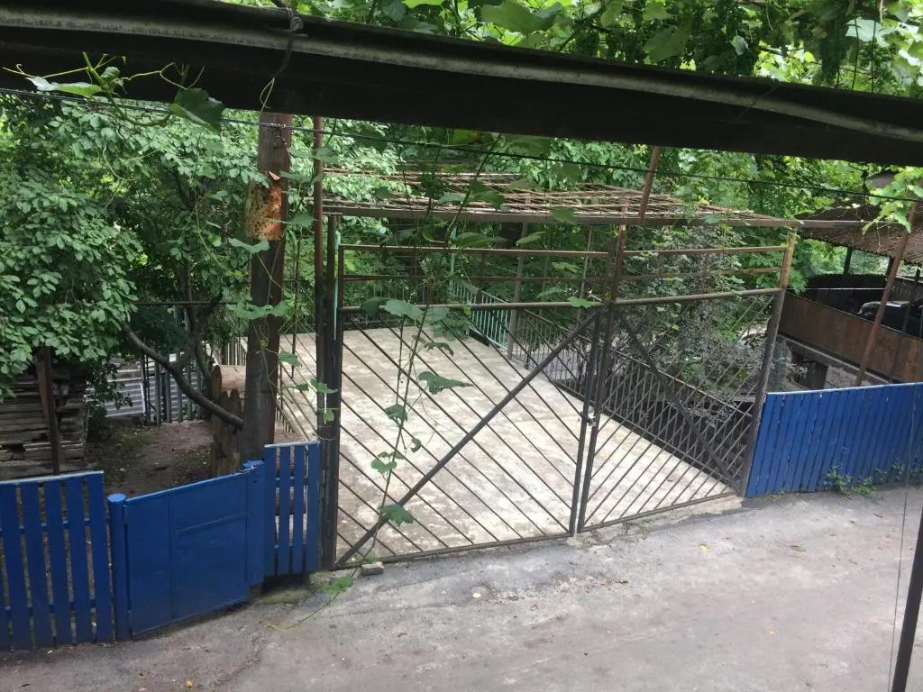 GuestHouse Malkhazi